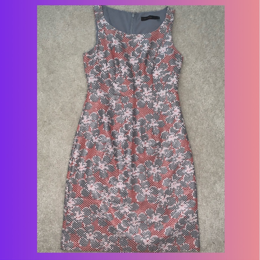 The Limited Dress 🤩
